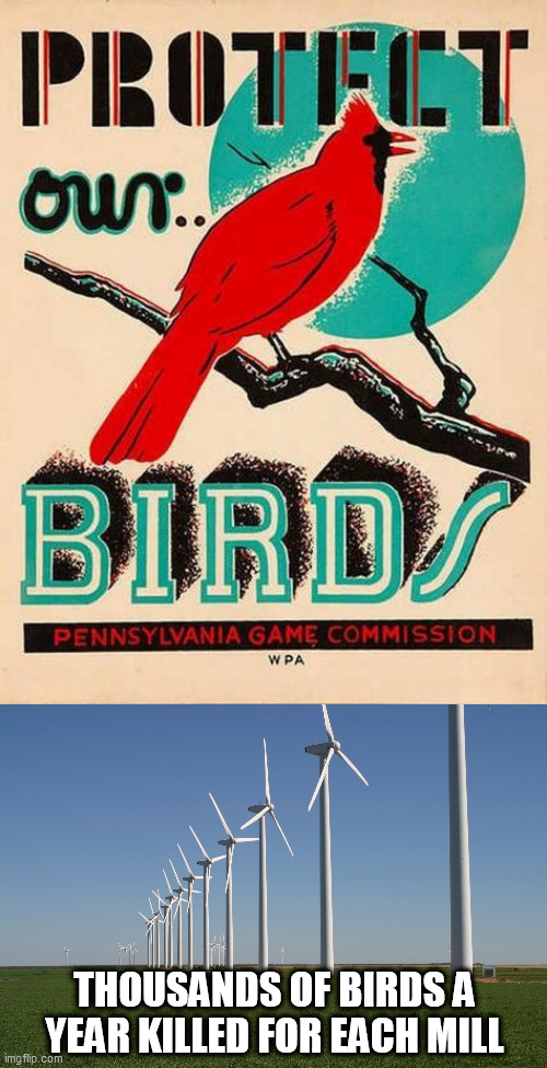 THOUSANDS OF BIRDS A YEAR KILLED FOR EACH MILL | image tagged in bird,windmill | made w/ Imgflip meme maker