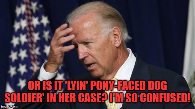 Joe Biden worries | OR IS IT 'LYIN' PONY-FACED DOG SOLDIER' IN HER CASE? I'M SO CONFUSED! | image tagged in joe biden worries | made w/ Imgflip meme maker