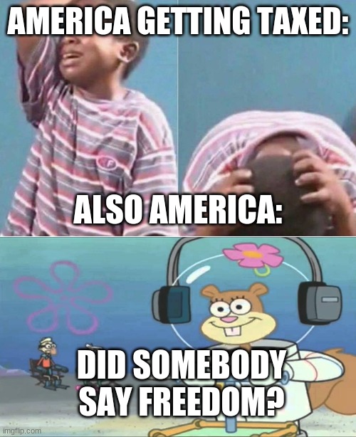  AMERICA GETTING TAXED:; ALSO AMERICA:; DID SOMEBODY SAY FREEDOM? | image tagged in crying kid,did somebody say boom | made w/ Imgflip meme maker