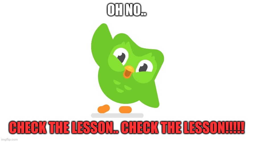 Duolingo song |  OH NO.. CHECK THE LESSON.. CHECK THE LESSON!!!!! | image tagged in duolingo song | made w/ Imgflip meme maker