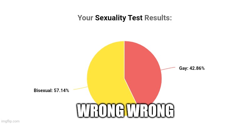 Idrlabs Sexual Orientation Test