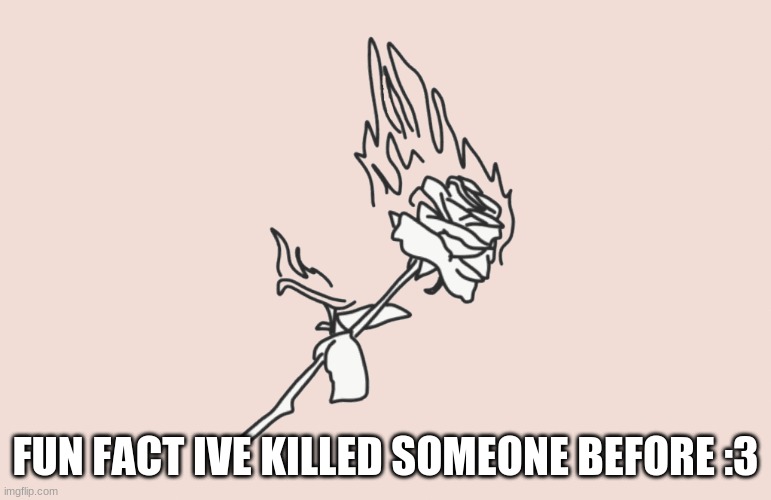 burning rose | FUN FACT IVE KILLED SOMEONE BEFORE :3 | image tagged in burning rose | made w/ Imgflip meme maker