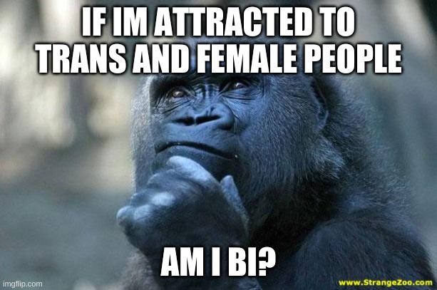 Deep Thoughts | IF IM ATTRACTED TO TRANS AND FEMALE PEOPLE; AM I BI? | image tagged in deep thoughts | made w/ Imgflip meme maker
