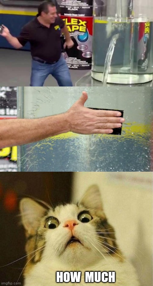 HOW  MUCH | image tagged in flex tape,memes,scared cat | made w/ Imgflip meme maker