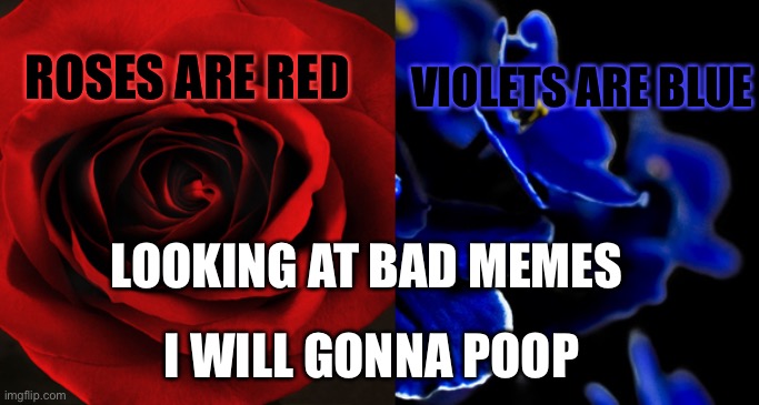 Roses are Red, Violets are Blue. | VIOLETS ARE BLUE; ROSES ARE RED; LOOKING AT BAD MEMES; I WILL GONNA POOP | image tagged in roses are red violets are blue | made w/ Imgflip meme maker