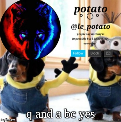 q and a bc yes | made w/ Imgflip meme maker