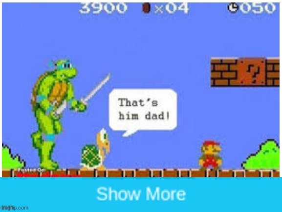lol get turtled marro | image tagged in mario | made w/ Imgflip meme maker