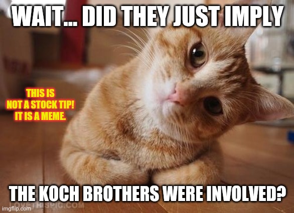 Curious Question Cat | WAIT... DID THEY JUST IMPLY THE KOCH BROTHERS WERE INVOLVED? THIS IS NOT A STOCK TIP!
IT IS A MEME. | image tagged in curious question cat | made w/ Imgflip meme maker