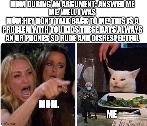 Lady screams at cat | MOM DURING AN ARGUMENT: ANSWER ME
ME: WELL I WAS
MOM:HEY DON'T TALK BACK TO ME! THIS IS A PROBLEM WITH YOU KIDS THESE DAYS ALWAYS AN UR PHONES SO RUDE AND DISRESPECTFUL; MOM.                                                                             ME | image tagged in lady screams at cat | made w/ Imgflip meme maker