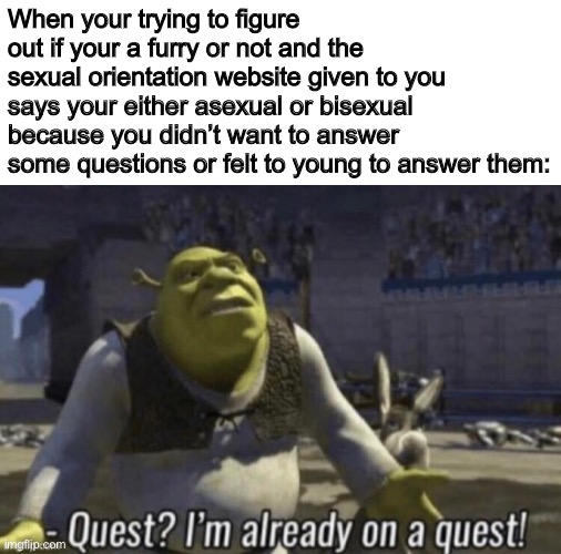 Yep... | When your trying to figure out if your a furry or not and the sexual orientation website given to you says your either asexual or bisexual because you didn’t want to answer some questions or felt to young to answer them: | made w/ Imgflip meme maker