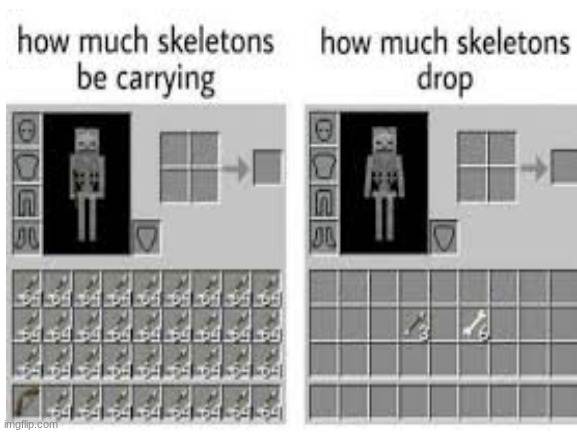 The skeletons | image tagged in minecraft | made w/ Imgflip meme maker