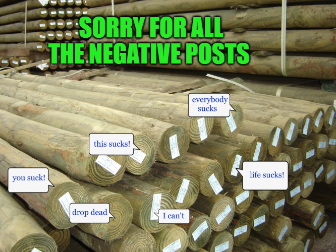 negative posts | SORRY FOR ALL THE NEGATIVE POSTS | image tagged in posts,kewlew | made w/ Imgflip meme maker