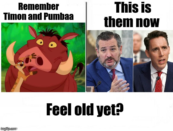 Feel old yet | This is them now; Remember Timon and Pumbaa; Feel old yet? | image tagged in feel old yet,politics | made w/ Imgflip meme maker