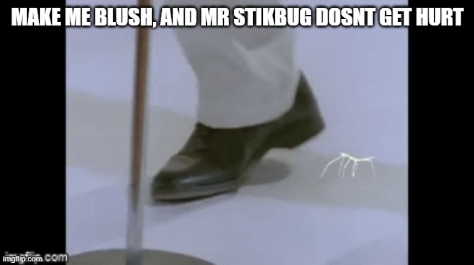 MAKE ME BLUSH, AND MR STIKBUG DOSNT GET HURT | made w/ Imgflip meme maker