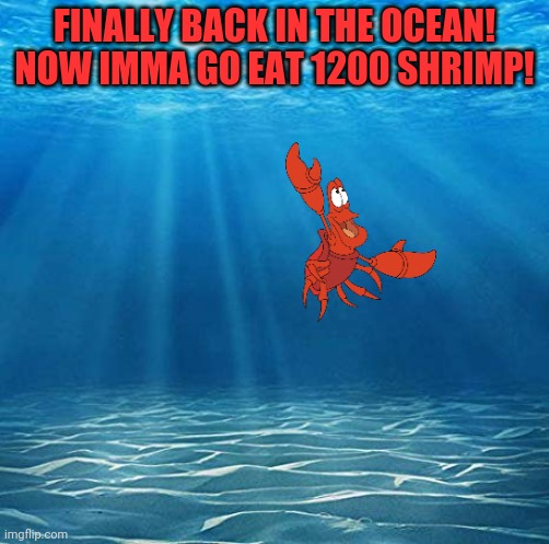 Under the sea | FINALLY BACK IN THE OCEAN! NOW IMMA GO EAT 1200 SHRIMP! | image tagged in under the sea | made w/ Imgflip meme maker