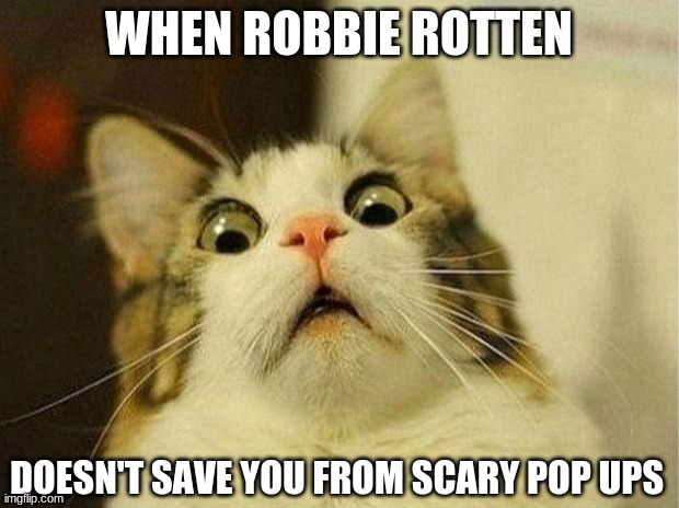 Meow | WHEN ROBBIE ROTTEN; DOESN'T SAVE YOU FROM SCARY POP UPS | image tagged in memes,scared cat | made w/ Imgflip meme maker