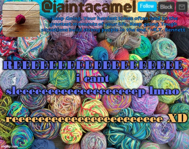 iaintacamel | REEEEEEEEEEEEEEEEEEE i cant sleeeeeeeeeeeeeeeeeeep lmao; reeeeeeeeeeeeeeeeeeeeeee XD | image tagged in iaintacamel | made w/ Imgflip meme maker