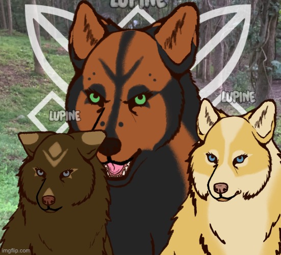 I just made some wolves  | made w/ Imgflip meme maker