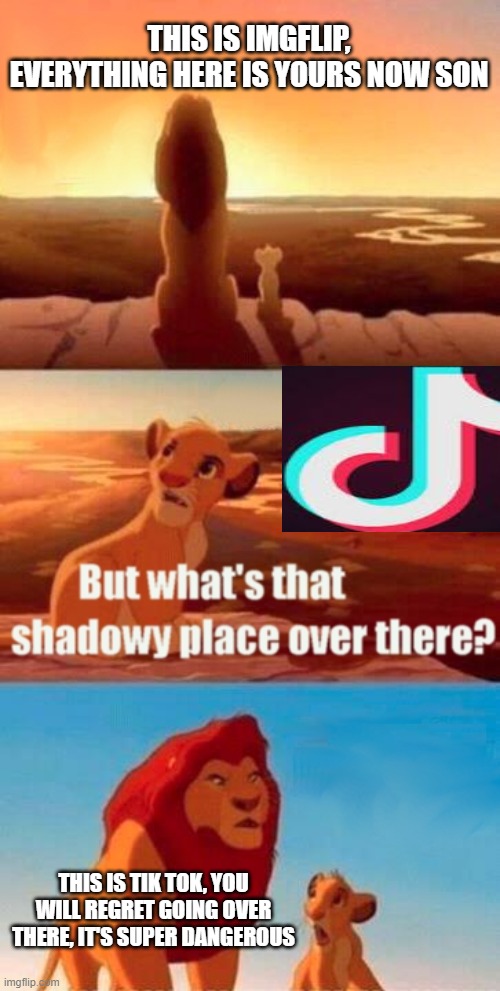 Simba Shadowy Place Meme | THIS IS IMGFLIP, EVERYTHING HERE IS YOURS NOW SON; THIS IS TIK TOK, YOU WILL REGRET GOING OVER THERE, IT'S SUPER DANGEROUS | image tagged in memes,simba shadowy place | made w/ Imgflip meme maker