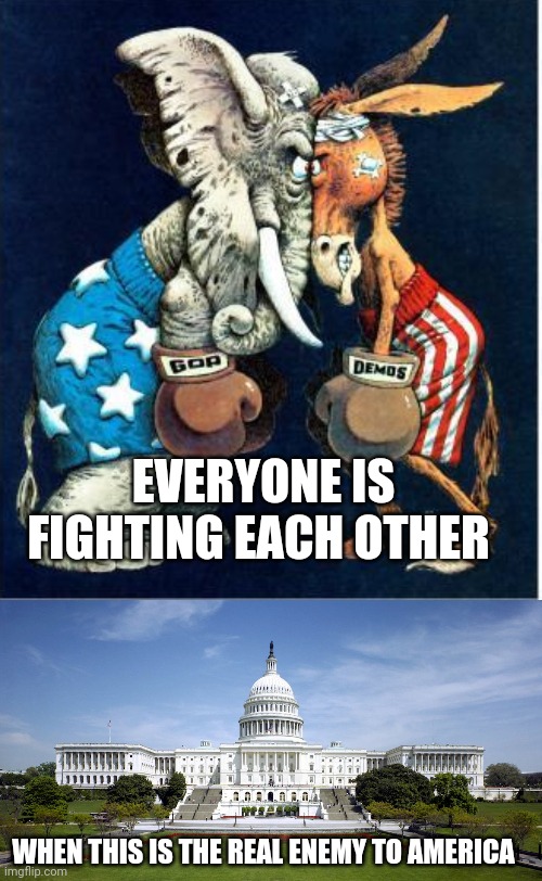 They are no longer for the people | EVERYONE IS FIGHTING EACH OTHER; WHEN THIS IS THE REAL ENEMY TO AMERICA | image tagged in democrats,republicans,government,government corruption | made w/ Imgflip meme maker