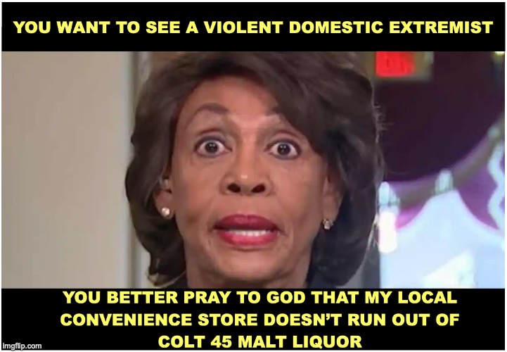Maxine Waters | image tagged in domestic violence | made w/ Imgflip meme maker
