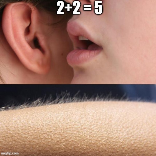 Whisper and Goosebumps | 2+2 = 5 | image tagged in whisper and goosebumps | made w/ Imgflip meme maker