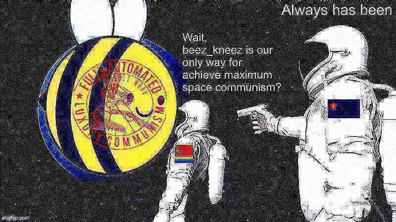 Our only way for make achieve shining path future. Vote Beez. | image tagged in beez/kami propaganda deep-fried 1,always has been,luxury,gay,space,communism | made w/ Imgflip meme maker