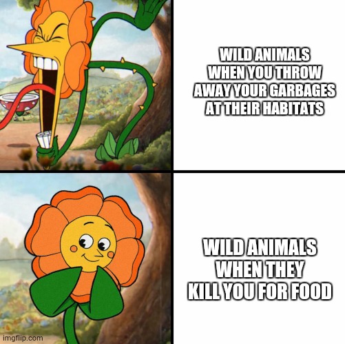 Stupid wild animals | WILD ANIMALS WHEN YOU THROW AWAY YOUR GARBAGES AT THEIR HABITATS; WILD ANIMALS WHEN THEY KILL YOU FOR FOOD | image tagged in angry flower | made w/ Imgflip meme maker