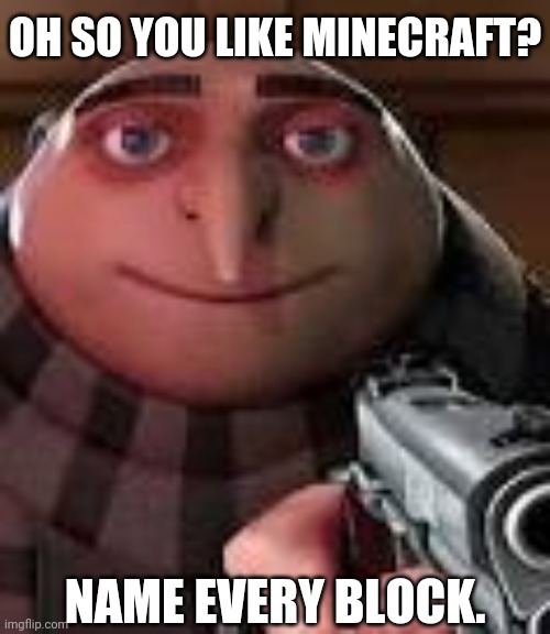 When you like Minecraft | OH SO YOU LIKE MINECRAFT? NAME EVERY BLOCK. | image tagged in gru with gun | made w/ Imgflip meme maker