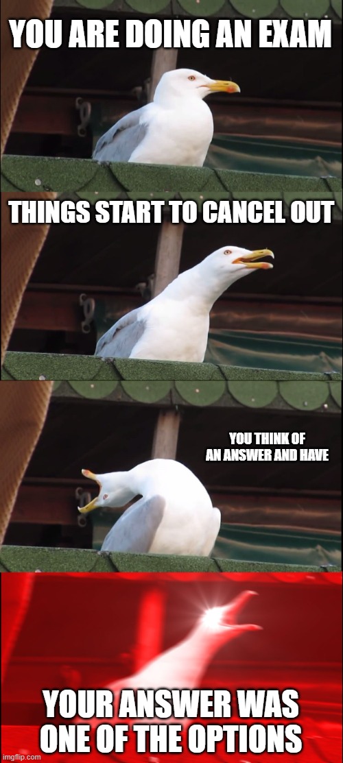 Inhaling Seagull | YOU ARE DOING AN EXAM; THINGS START TO CANCEL OUT; YOU THINK OF AN ANSWER AND HAVE; YOUR ANSWER WAS ONE OF THE OPTIONS | image tagged in memes,inhaling seagull | made w/ Imgflip meme maker