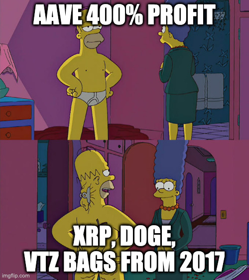 Homer Simpson's Back Fat | AAVE 400% PROFIT; XRP, DOGE, VTZ BAGS FROM 2017 | image tagged in homer simpson's back fat | made w/ Imgflip meme maker
