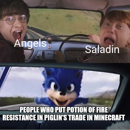 Sonic Chasing Harry and Ron | Angels; Saladin; PEOPLE WHO PUT POTION OF FIRE RESISTANCE IN PIGLIN'S TRADE IN MINECRAFT | image tagged in sonic chasing harry and ron | made w/ Imgflip meme maker