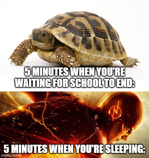 Slow vs Fast Meme | 5 MINUTES WHEN YOU'RE WAITING FOR SCHOOL TO END:; 5 MINUTES WHEN YOU'RE SLEEPING: | image tagged in slow vs fast meme | made w/ Imgflip meme maker