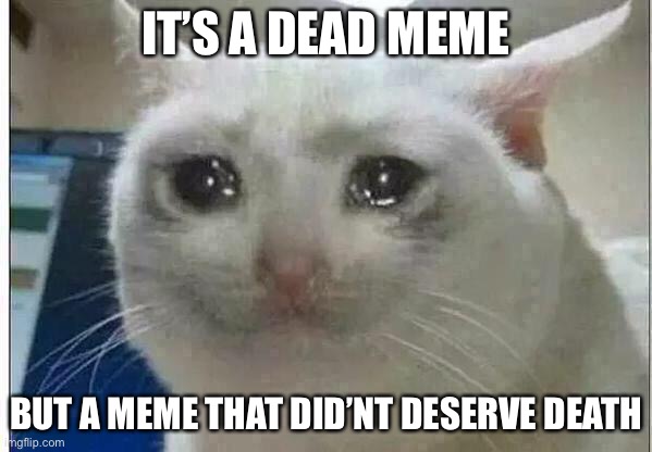 crying cat | IT’S A DEAD MEME BUT A MEME THAT DIDN’T  DESERVE DEATH | image tagged in crying cat | made w/ Imgflip meme maker