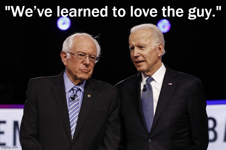 From a progressive's standpoint: What's wrong with Biden? So far, not much | "We’ve learned to love the guy." | image tagged in biden sanders,joe biden,biden,democratic party,democrats,sanders | made w/ Imgflip meme maker