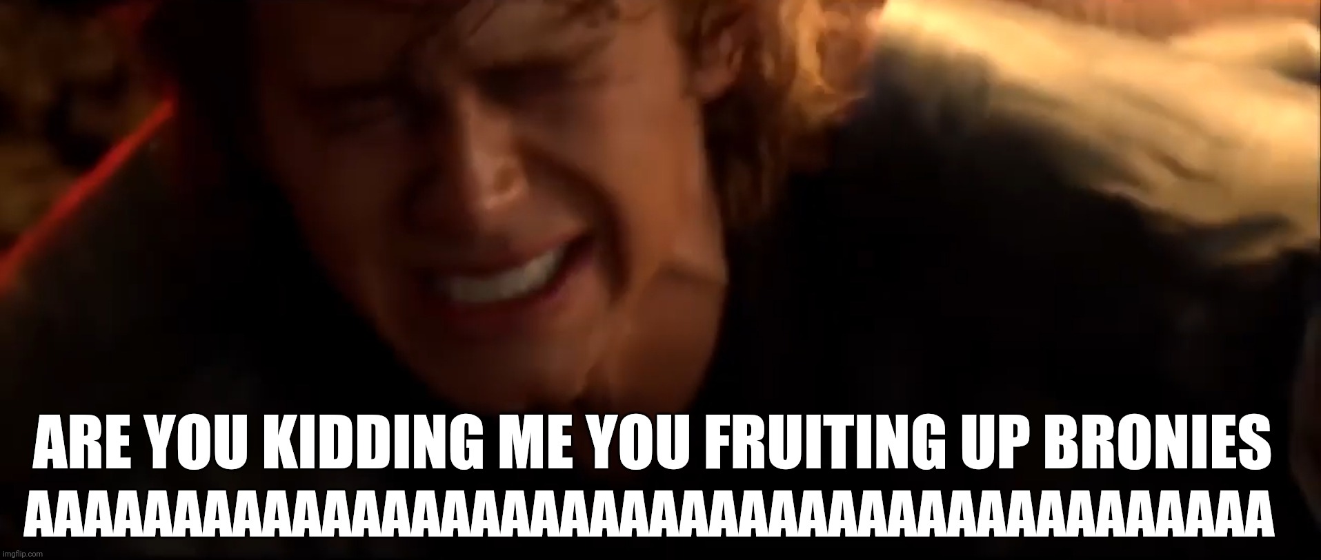 random | AAAAAAAAAAAAAAAAAAAAAAAAAAAAAAAAAAAAAAAAAA; ARE YOU KIDDING ME YOU FRUITING UP BRONIES | image tagged in memes,anakin skywalker,fruiting up,bronies,random,omgwtfbbq | made w/ Imgflip meme maker