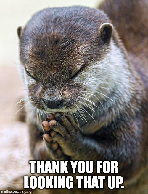 Thank you Lord Otter | THANK YOU FOR LOOKING THAT UP. | image tagged in thank you lord otter | made w/ Imgflip meme maker