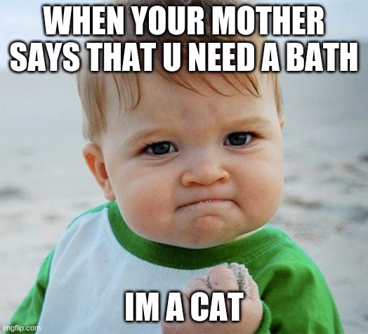 IM A GOD DAMMIT CAT | WHEN YOUR MOTHER SAYS THAT U NEED A BATH; IM A CAT | image tagged in bath time | made w/ Imgflip meme maker