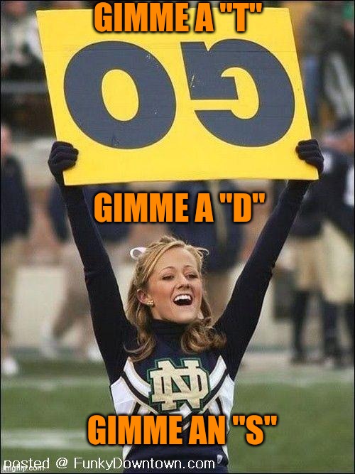 Cheerleader | GIMME A "T" GIMME A "D" GIMME AN "S" | image tagged in cheerleader | made w/ Imgflip meme maker