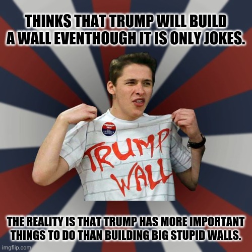 Deplorable Dave | THINKS THAT TRUMP WILL BUILD A WALL EVENTHOUGH IT IS ONLY JOKES. THE REALITY IS THAT TRUMP HAS MORE IMPORTANT THINGS TO DO THAN BUILDING BIG STUPID WALLS. | image tagged in memes,deplorables,book of idiots | made w/ Imgflip meme maker