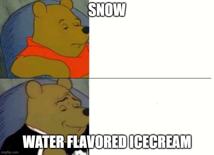 mellomrjelloYT | SNOW; WATER FLAVORED ICECREAM | image tagged in fancy winnie the pooh meme | made w/ Imgflip meme maker
