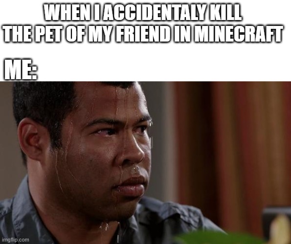 sweating bullets | WHEN I ACCIDENTALY KILL THE PET OF MY FRIEND IN MINECRAFT; ME: | image tagged in sweating bullets | made w/ Imgflip meme maker