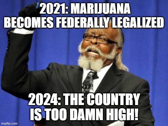 The country is too damn high! | 2021: MARIJUANA BECOMES FEDERALLY LEGALIZED; 2024: THE COUNTRY IS TOO DAMN HIGH! | image tagged in memes,too damn high,2024 election,marijuana,legalize weed | made w/ Imgflip meme maker