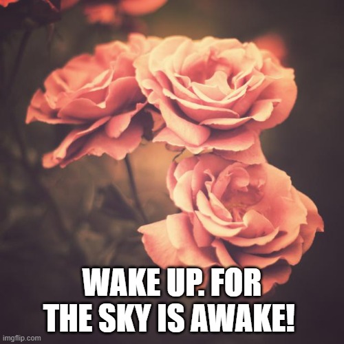 -Frozen confirmed | WAKE UP. FOR THE SKY IS AWAKE! | image tagged in beautiful vintage flowers | made w/ Imgflip meme maker