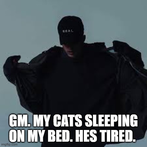 NFs template | GM. MY CATS SLEEPING ON MY BED. HES TIRED. | image tagged in nfs template | made w/ Imgflip meme maker