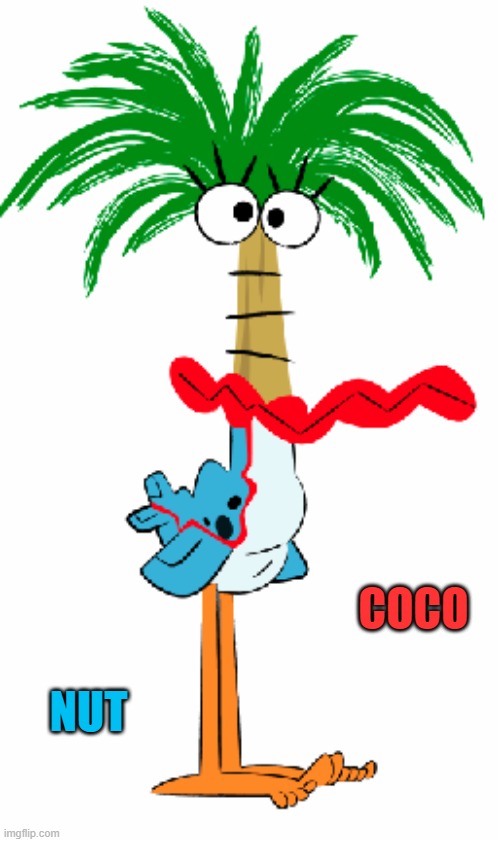 Coco nut | COCO; NUT | made w/ Imgflip meme maker