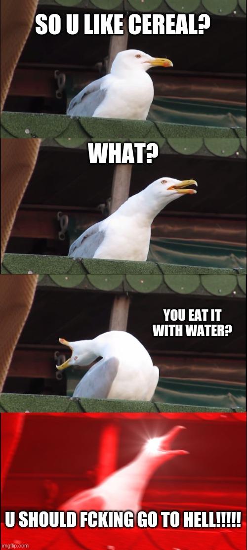 Inhaling Seagull Meme | SO U LIKE CEREAL? WHAT? YOU EAT IT WITH WATER? U SHOULD FCKING GO TO HELL!!!!! | image tagged in memes,inhaling seagull | made w/ Imgflip meme maker