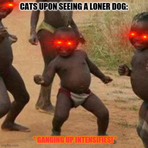 Third World Success Kid | CATS UPON SEEING A LONER DOG:; * GANGING UP INTENSIFIES! * | image tagged in memes,third world success kid,cats | made w/ Imgflip meme maker