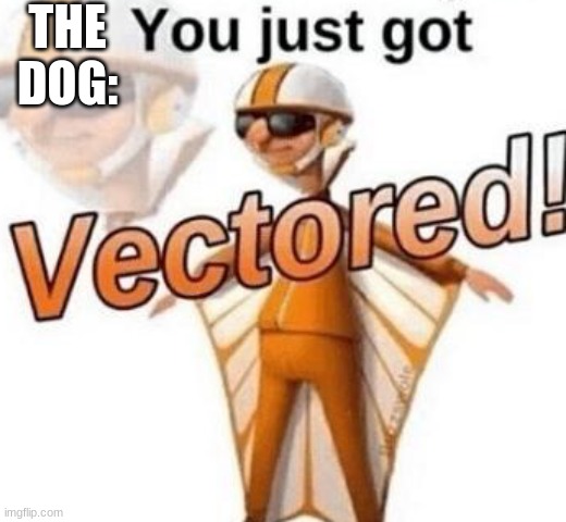You just got vectored | THE DOG: | image tagged in you just got vectored | made w/ Imgflip meme maker
