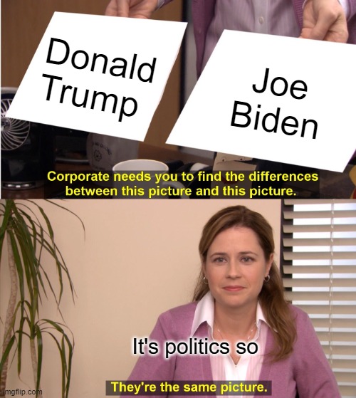 They're The Same Picture Meme | Donald Trump; Joe Biden; It's politics so | image tagged in memes,they're the same picture | made w/ Imgflip meme maker